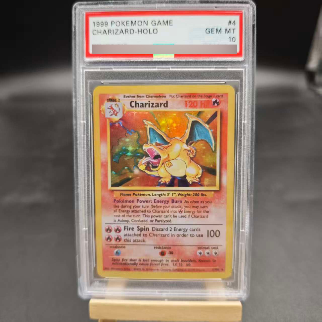 DIY 1ST Venusaur Gyarados Char – Board Game Pokemon Bewertung und Preis