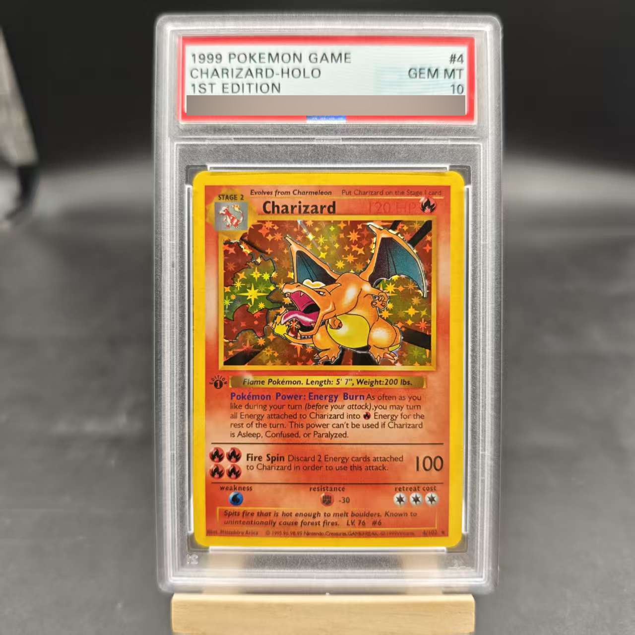 DIY 1ST Venusaur Gyarados Char – Board Game Pokemon Bewertung und Preis