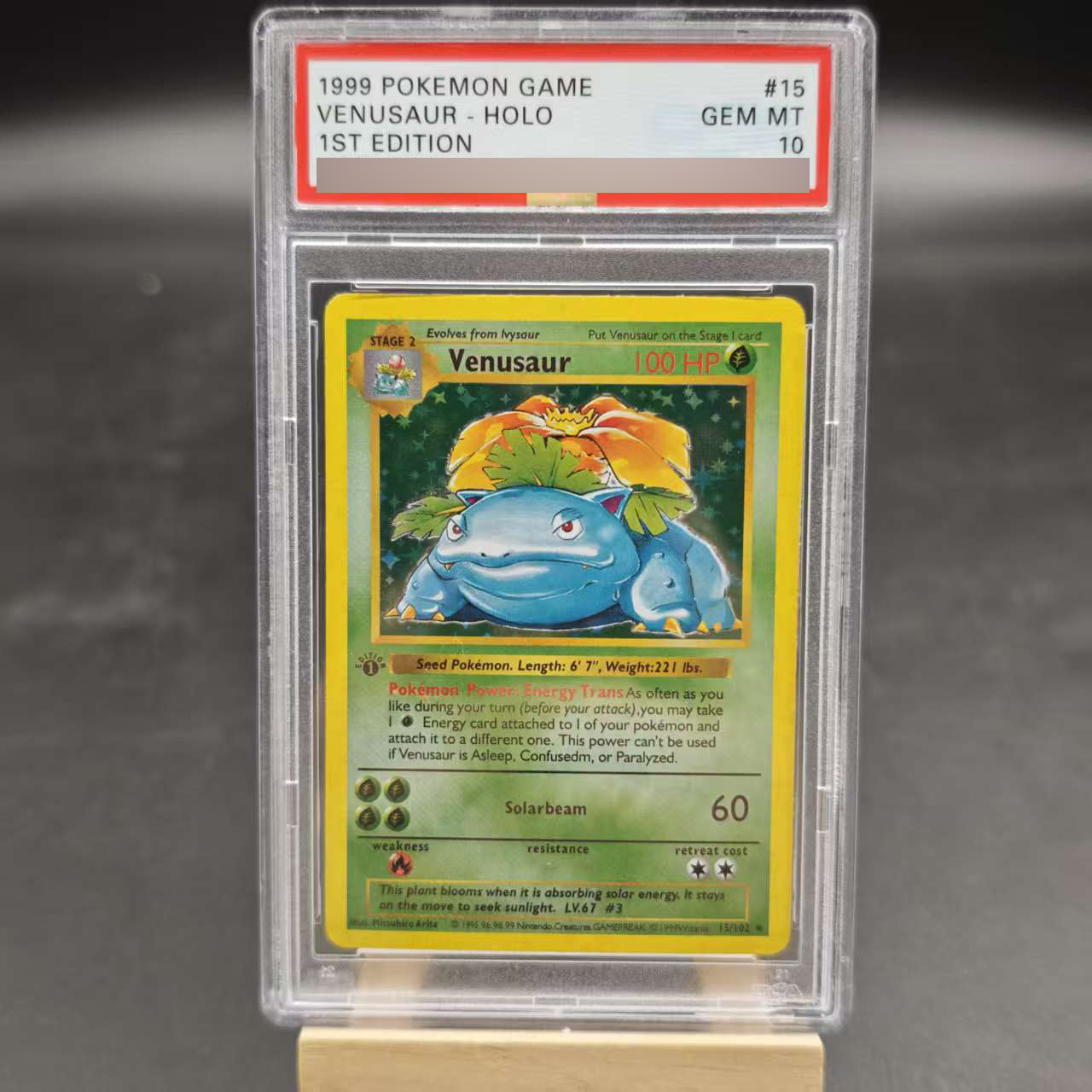 DIY 1ST Venusaur Gyarados Char – Board Game Pokemon Bewertung und Preis