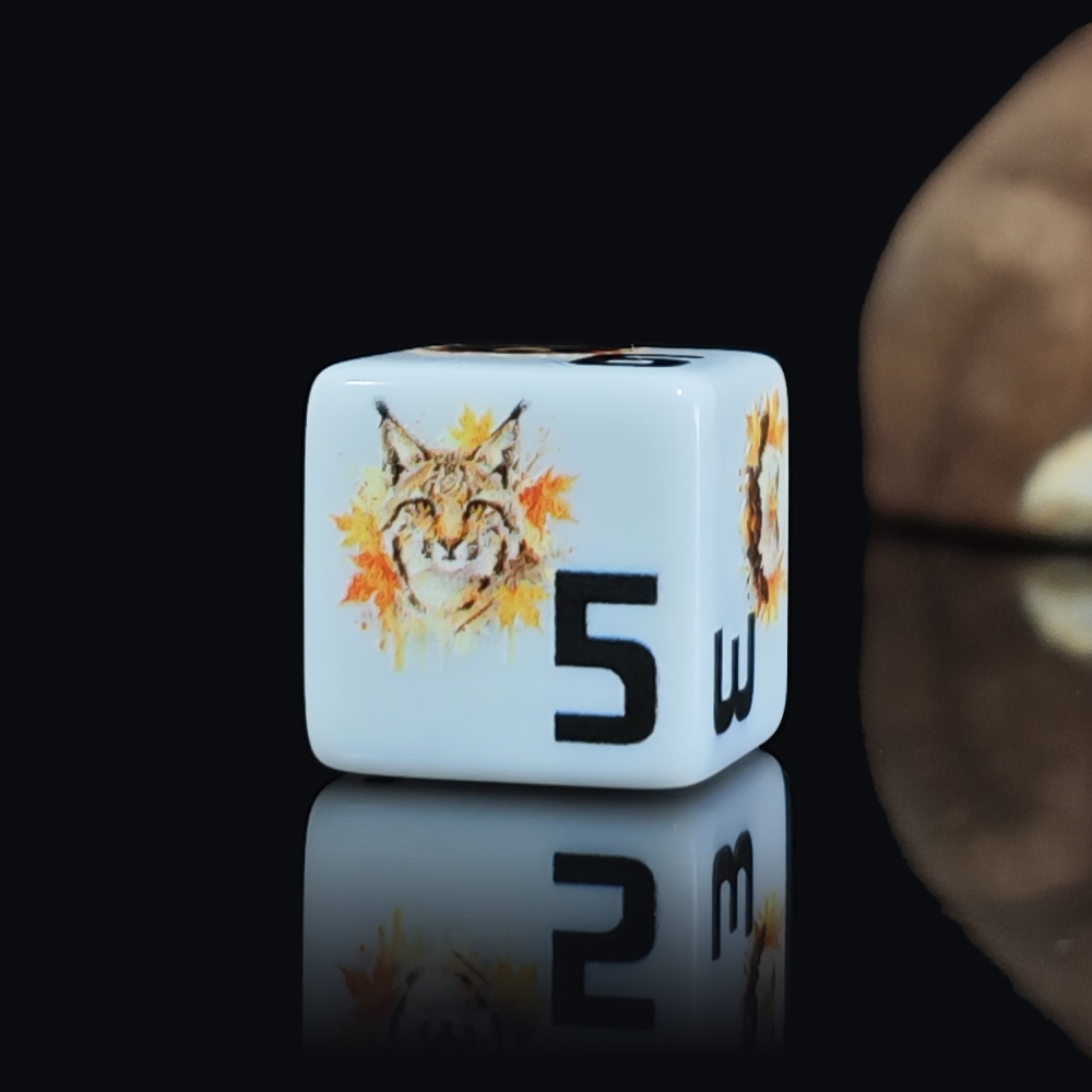 12 Stück 16MM Acryl D6 Würfel, – Board Game Wild Wild Bewertung und Preis